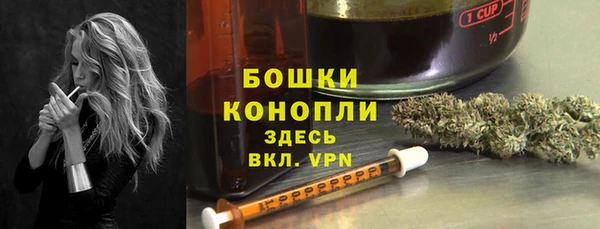 крисы Каменка