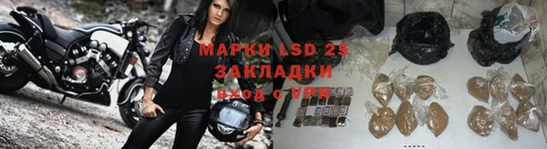 спайс Нея