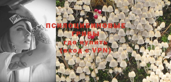 индика Абинск