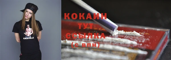 прущие грибы Инсар