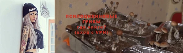 ПСИЛОЦИБИНОВЫЕ ГРИБЫ Абдулино