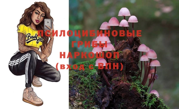 ПСИЛОЦИБИНОВЫЕ ГРИБЫ Абдулино