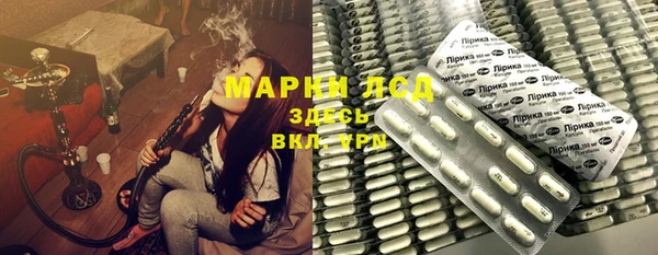 спайс Нея