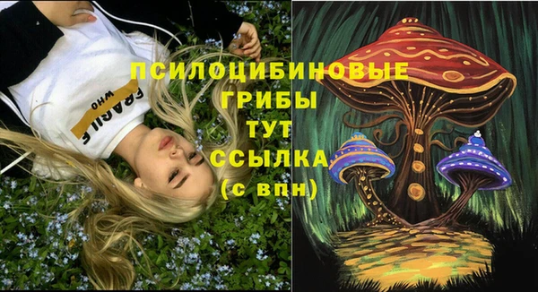 ПСИЛОЦИБИНОВЫЕ ГРИБЫ Абдулино