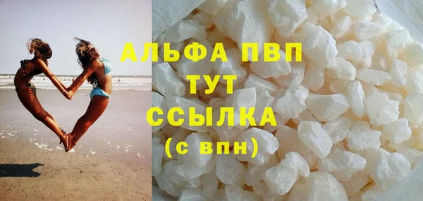 индика Абинск