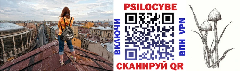 Галлюциногенные грибы Psilocybine cubensis  Таганрог 